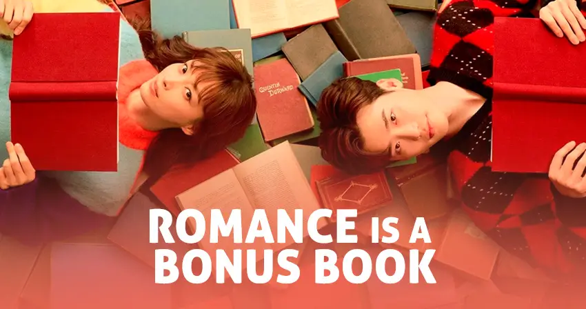 Romance is a Bonus Book - VJ Waza